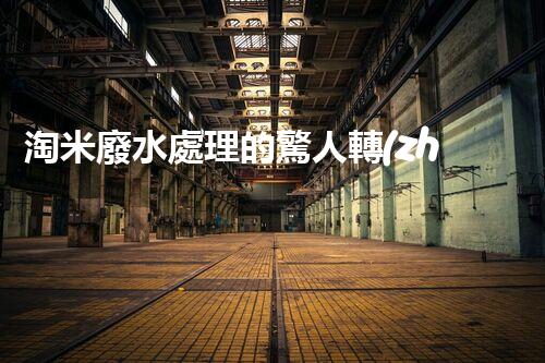 淘米廢水處理的驚人轉(zhuǎn)機(jī)：開啟綠色循環(huán)新篇章！
